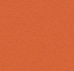 Линолеум Forbo Bulletin Board 2211 tangerine zest фото 1 | FLOORDEALER